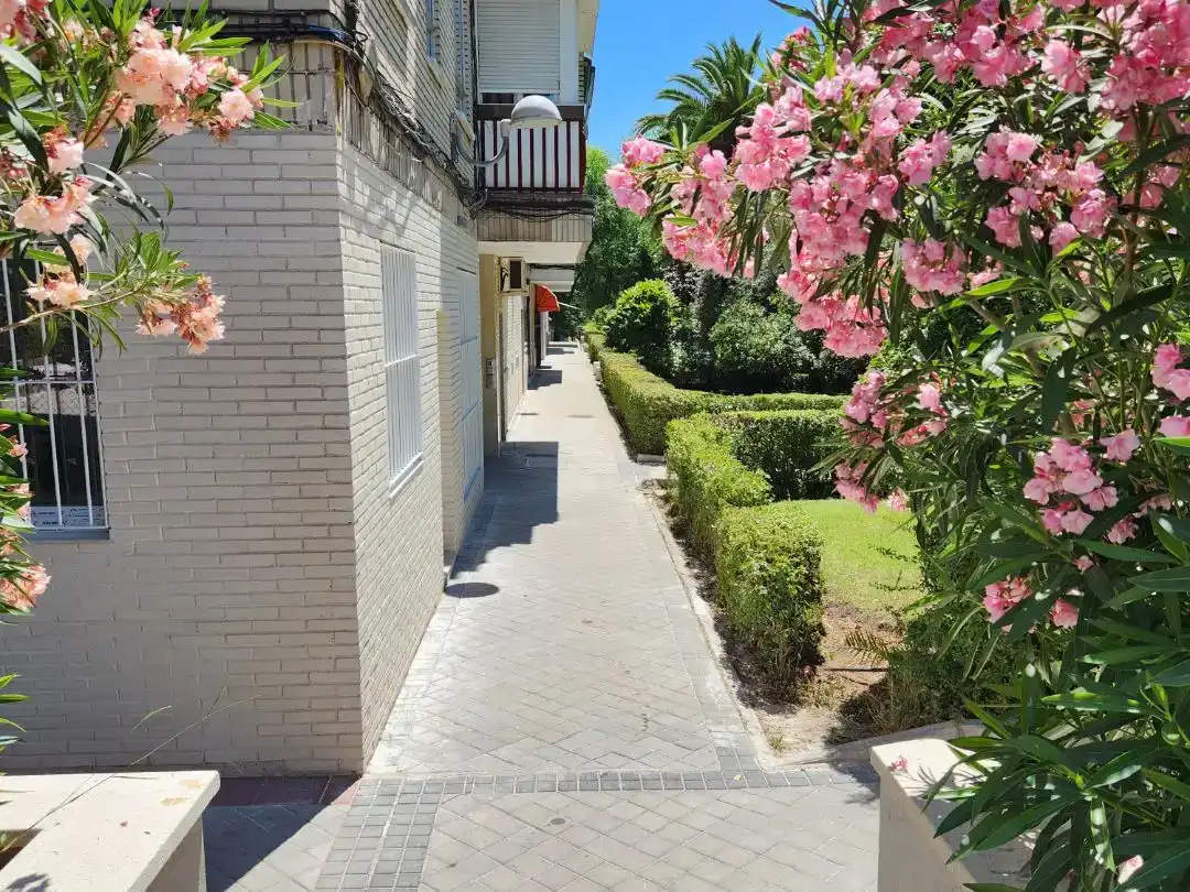 Vista exterior de Piso en venta en Madrid con Aire acondicionado, Jardín privado y Piscina