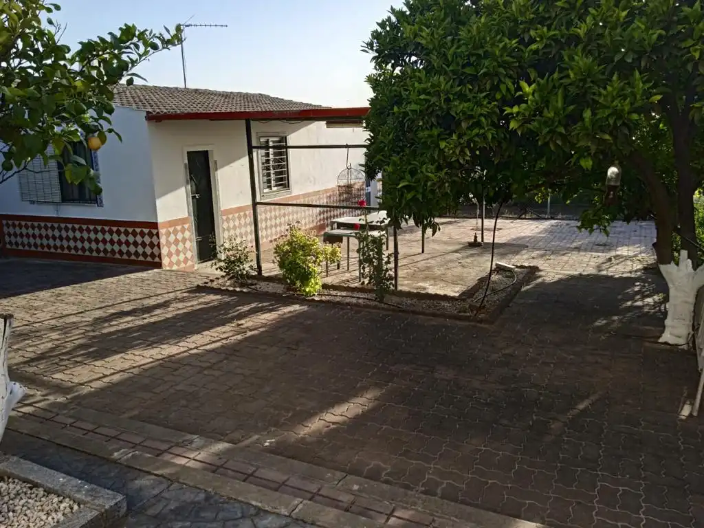 Vista exterior de Casa o chalet en venta en La Rambla con Aire acondicionado, Jardín privado y Terraza