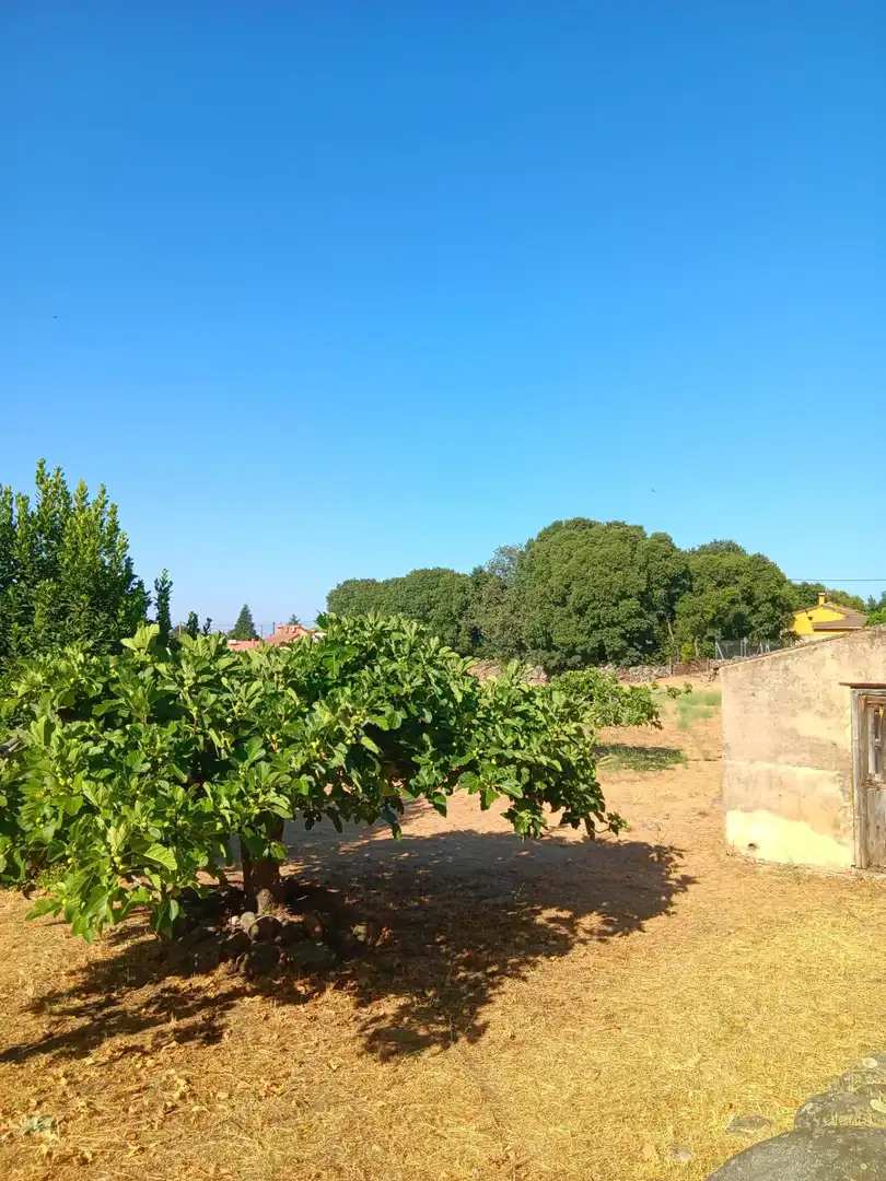 Residential for sale in Candeleda