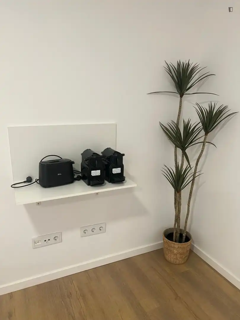 Room in Poble Nou