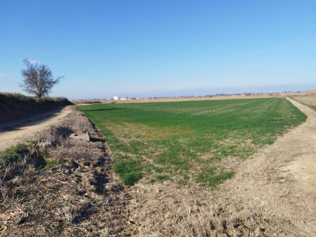 Finca rústica en Venta en Vencillo en Els Alamús