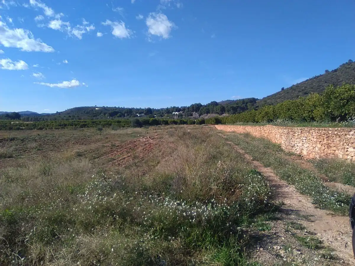 Terreno rústico en venta en Alfara de la Baronia, imagen 2