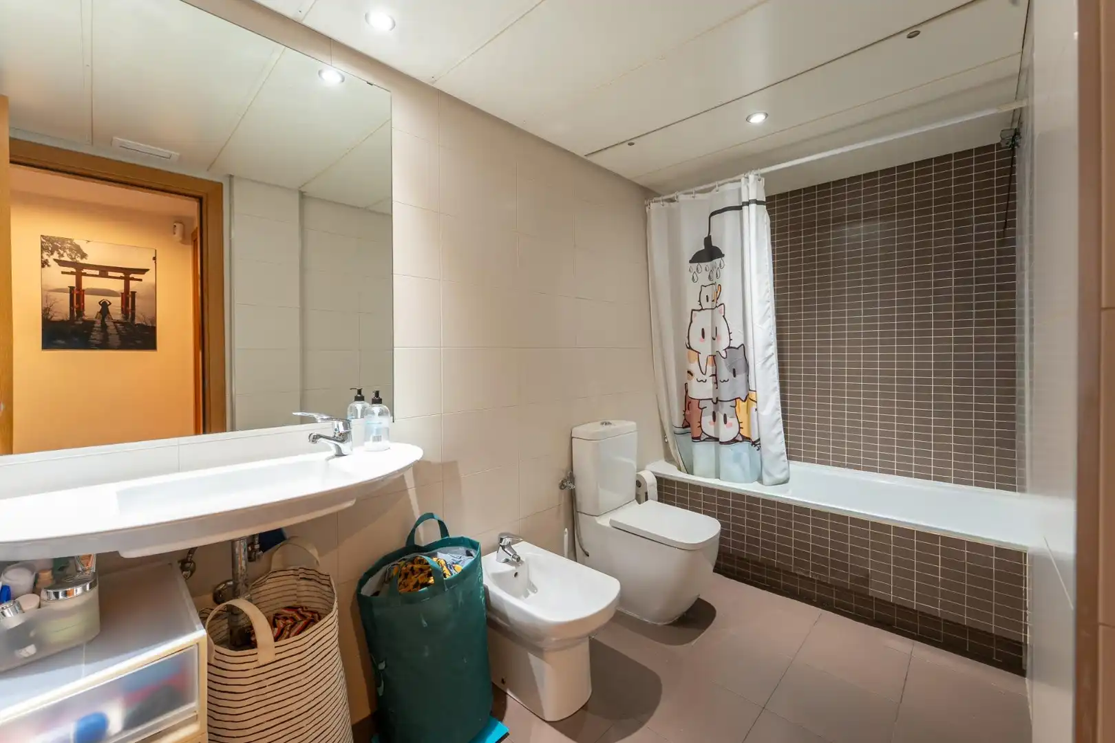 Flat with lift for sale in ILLA CARRER DE', imagen 20