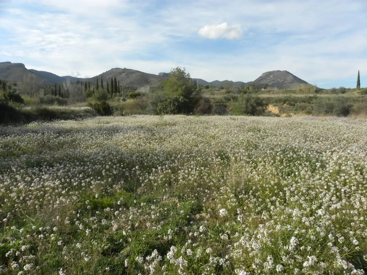 Residencial en venda en Caravaca de la Cruz