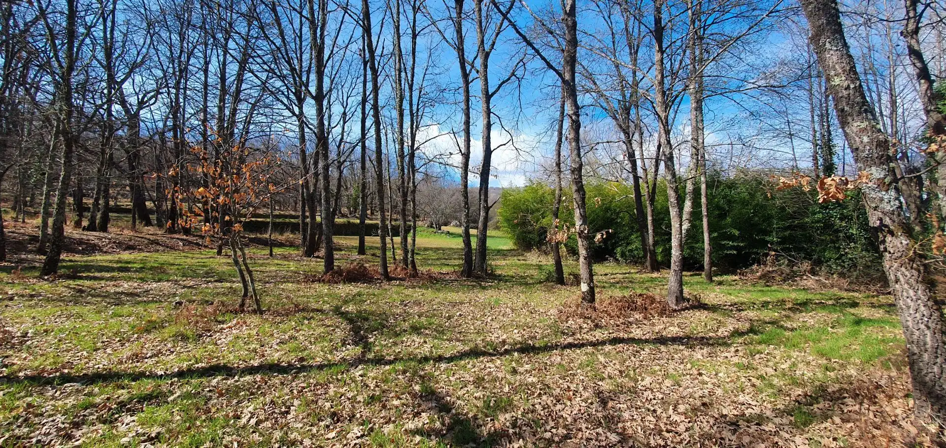 Terreni e lotti in vendita a Jarandilla de la Vera, imagen 32