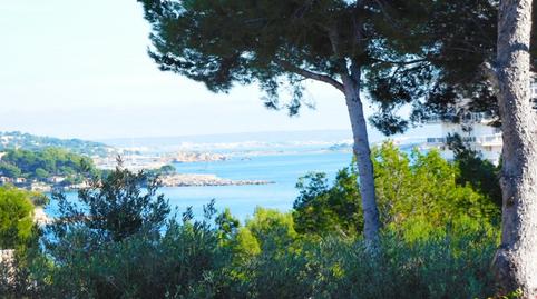 Photo 2 of Residential for sale in Palmanova, Illes Balears