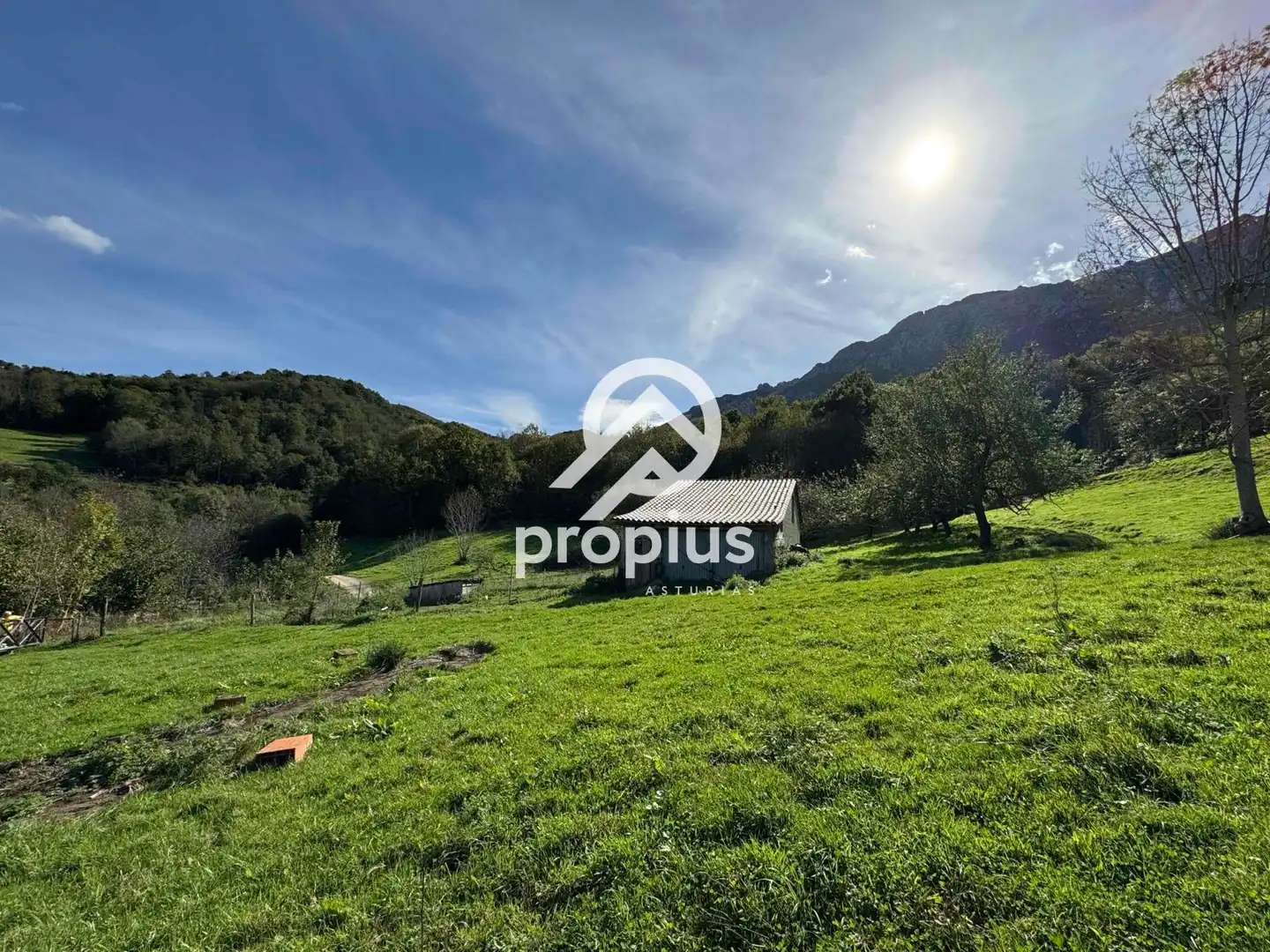 Rural land for sale in Inguanzo, imagen 16