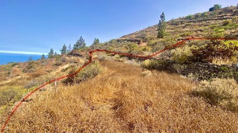 Foto 5 von Grundstücke zum Verkauf in Guía de Isora interior, Guía de Isora