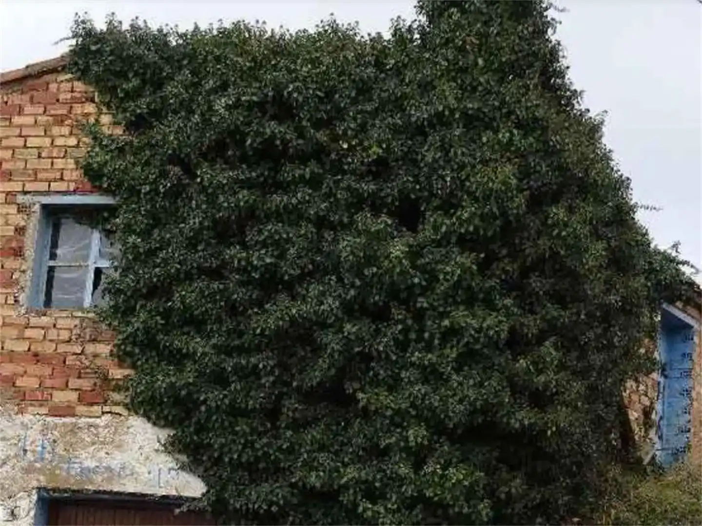 Jardín de Terreno en venta en Ágreda