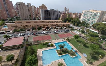 Piscina de Apartament en venda en Benidorm amb Terrassa