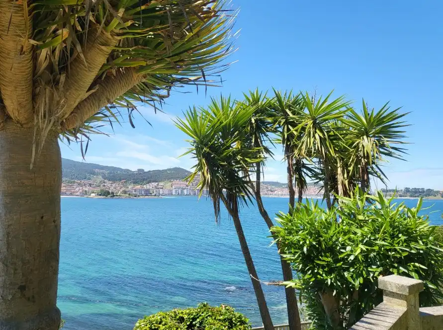 Chalet en venta en Subida Monte Lourido, imagen 4