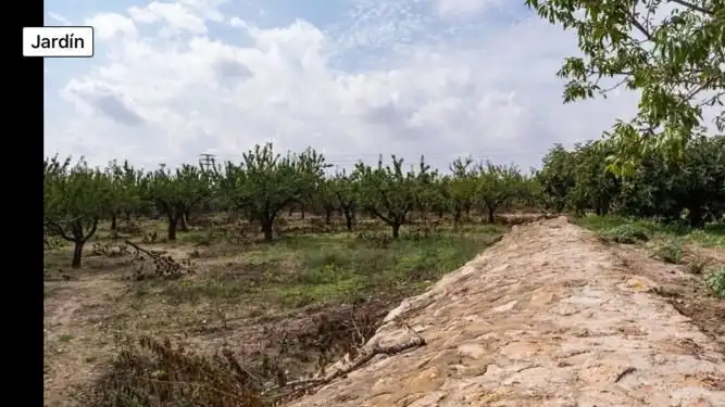 Casa o xalet en venda en Fuente Álamo de Murcia amb Jardí privat i Traster
