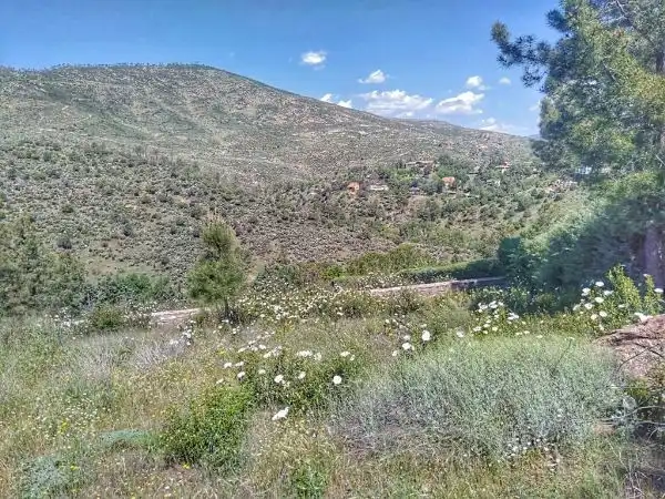 Terreny residencial en venda a Robledo de Chavela, imagen 5