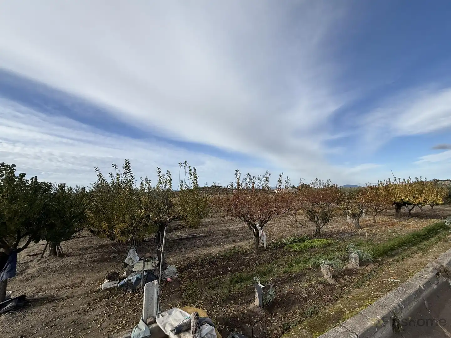 Grundstücke und Bauplätze zum Verkauf in Guareña, imagen 6