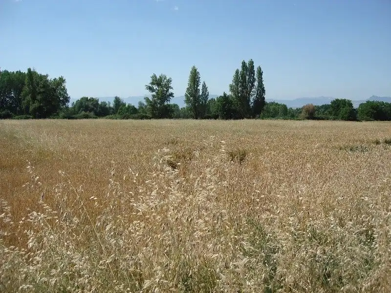Terreny rústic en venda a Villamediana de Iregua, imagen 3