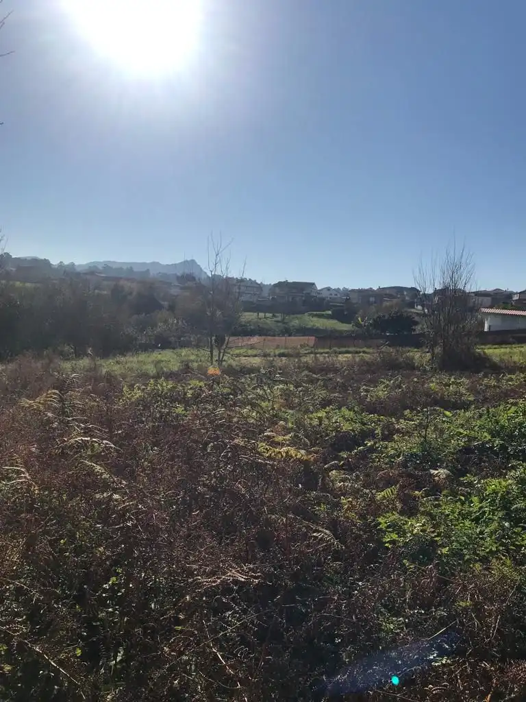 Finca rústica en venta en Vigo 