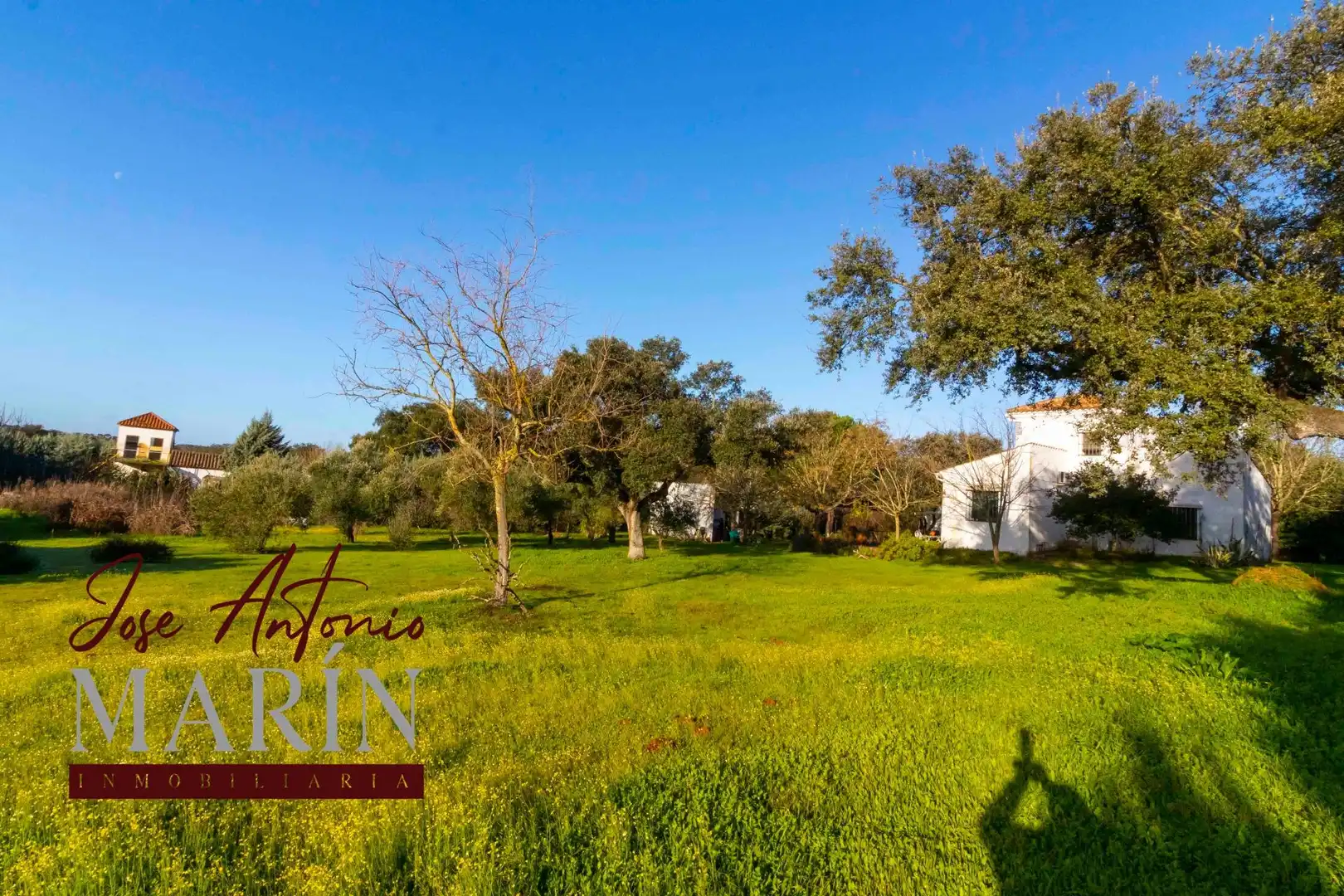 Garten von Country house zum Verkauf in Badajoz mit Privatgarten, Abstellraum und Schwimmbad