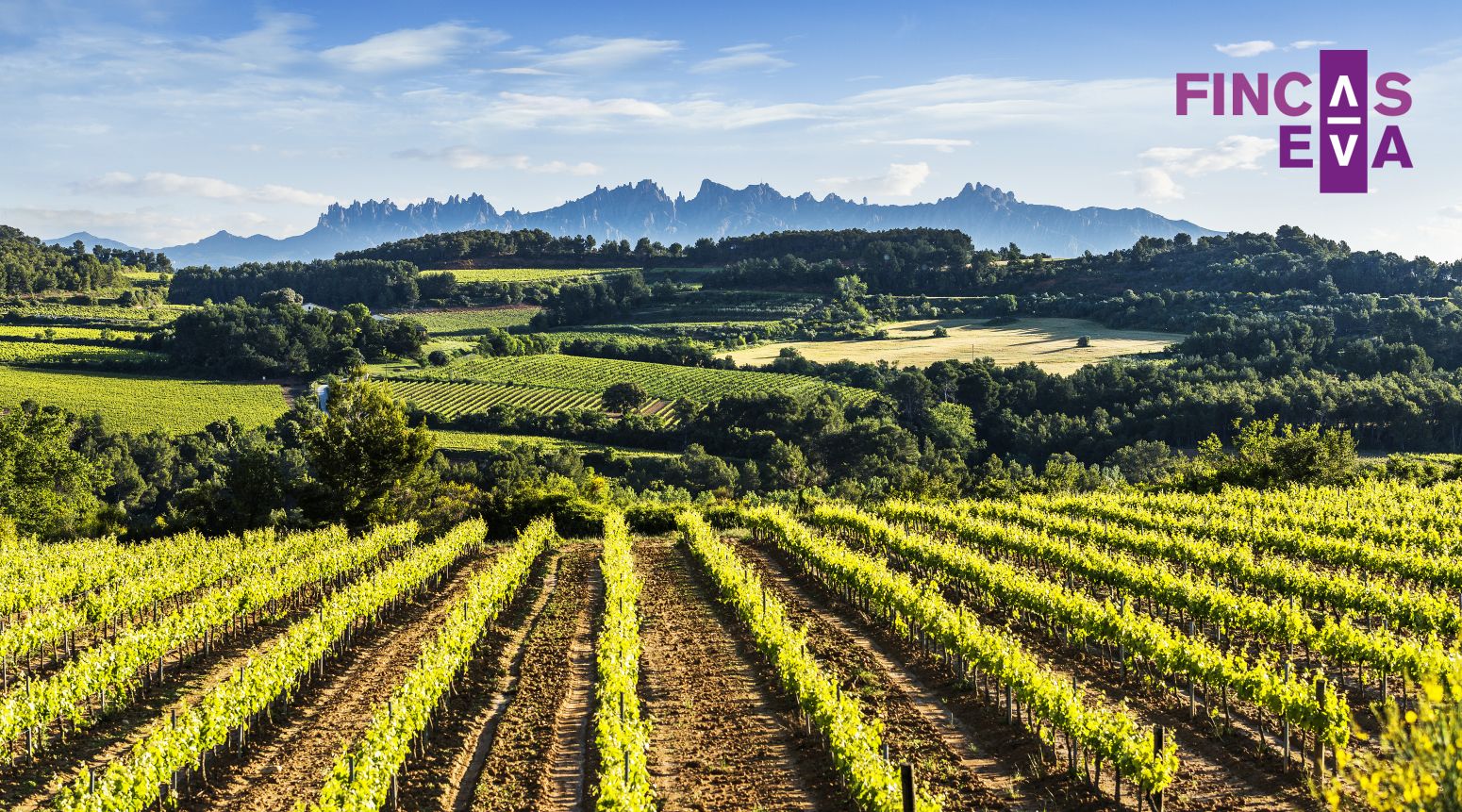 Vista exterior de Pis en venda en  Barcelona Capital