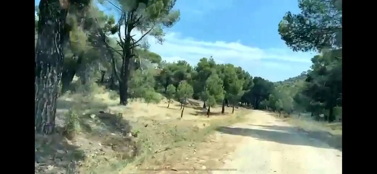 Terreny rústic en venda a Navahoncil, imagen 17