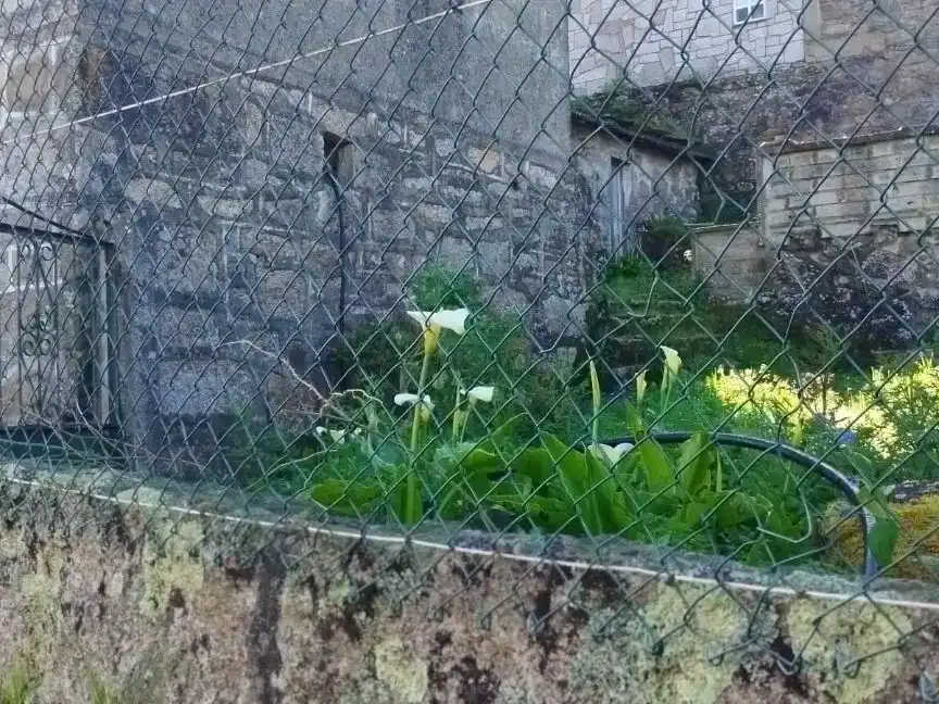 Jardí de Pis en venda en Meis amb Balcó