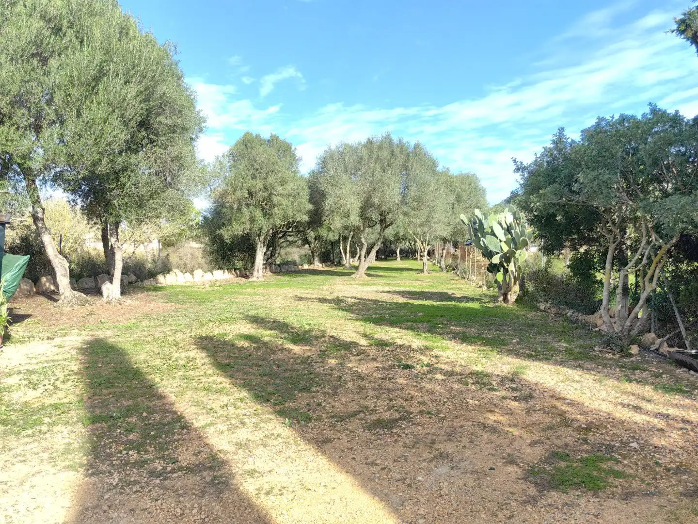 Casa rústica amb jardí en venda a Cami des coix carro 1, imagen 11