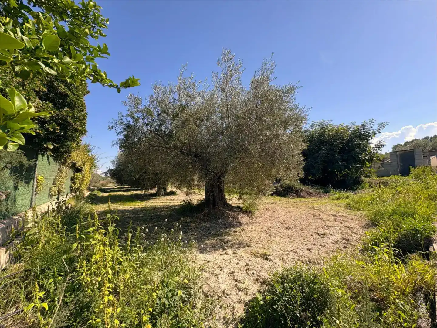 Finca rústica en venda a Camino Pieza de Navarro, 132, Moratalla