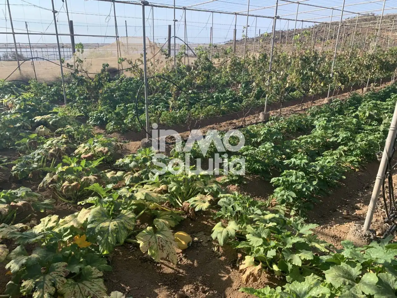 Terreno rustico in vendita a El Capitán, imagen 26