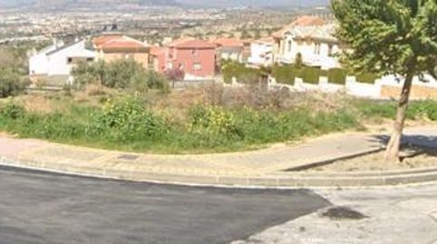 JunTerreno, immagine 4