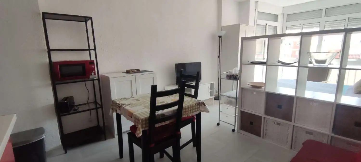 Living room of Study for rent in Torremolinos  with Furnished and Pets allowed