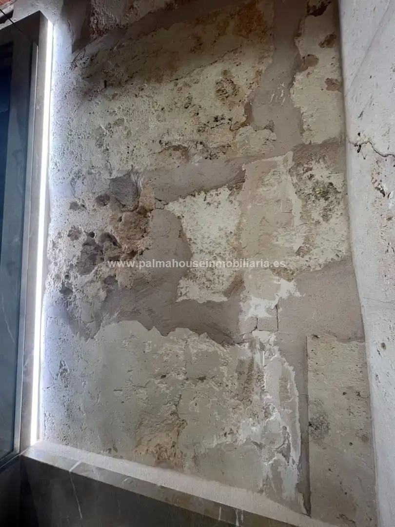 Terreny residencial en venda a Maria de la Salut, imagen 31