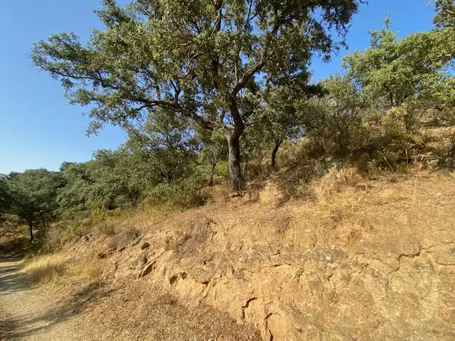 Terrenos y solares en venta en La Nava, imagen 12