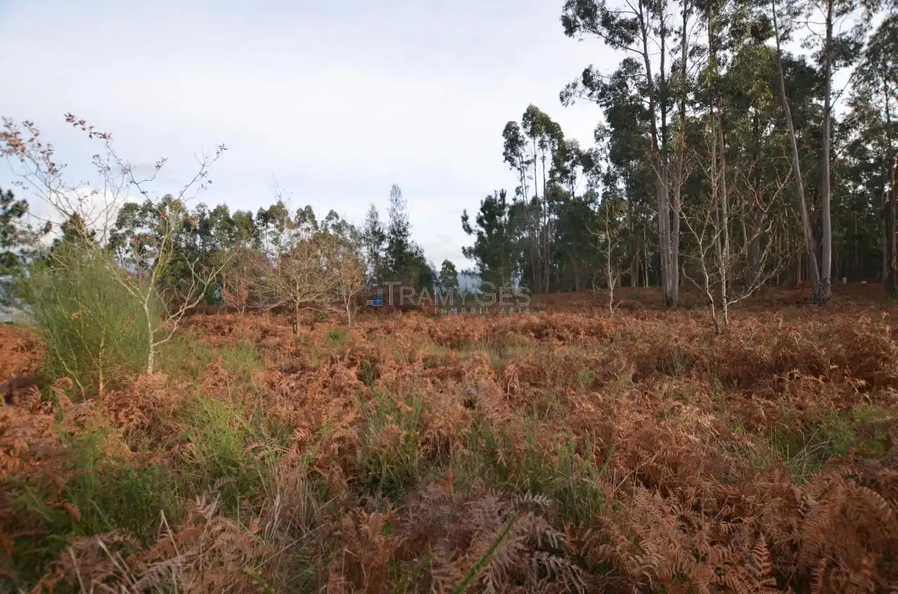 Residential land for sale in LUGAR O MONTE, imagen 29