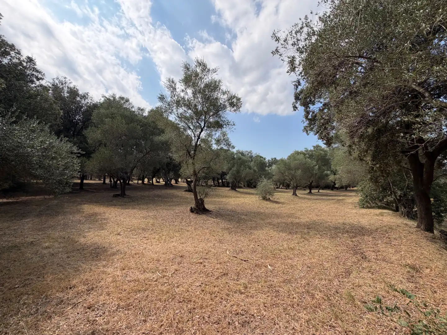 Casa o xalet en venda a Parlavà