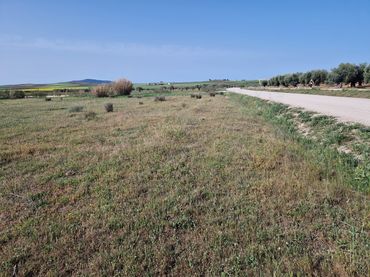 Terreny residencial en venda a Villanueva de la Serena