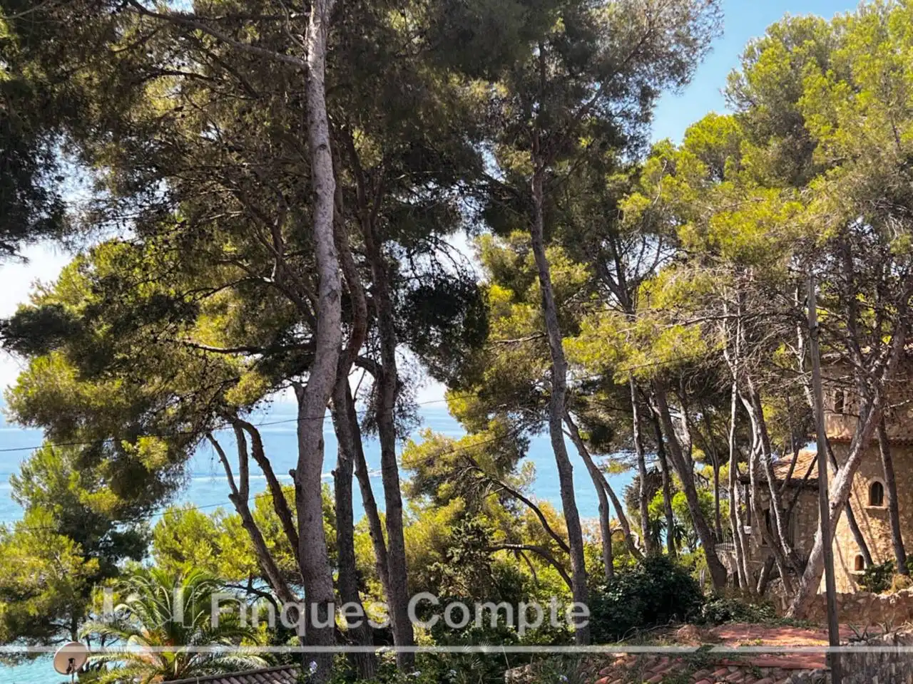 Casa o chalet en venta en Roda de Berà con Jardín privado, Terraza y Piscina