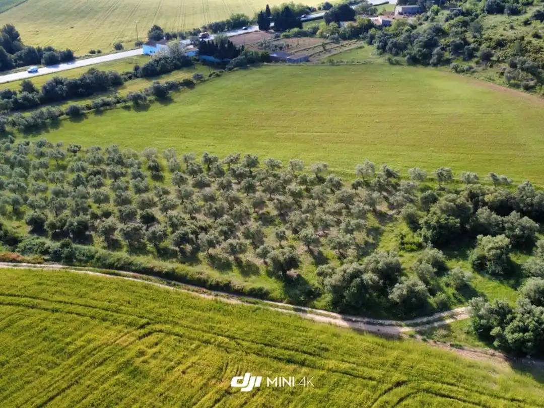 Terreno rustico in vendita a N-IIa 11, imagen 5