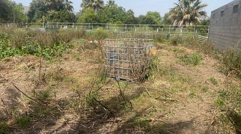 Photo 5 of Country homes for sale in Avinguda de Blasco Ibáñez, 1, Corea, Gandia