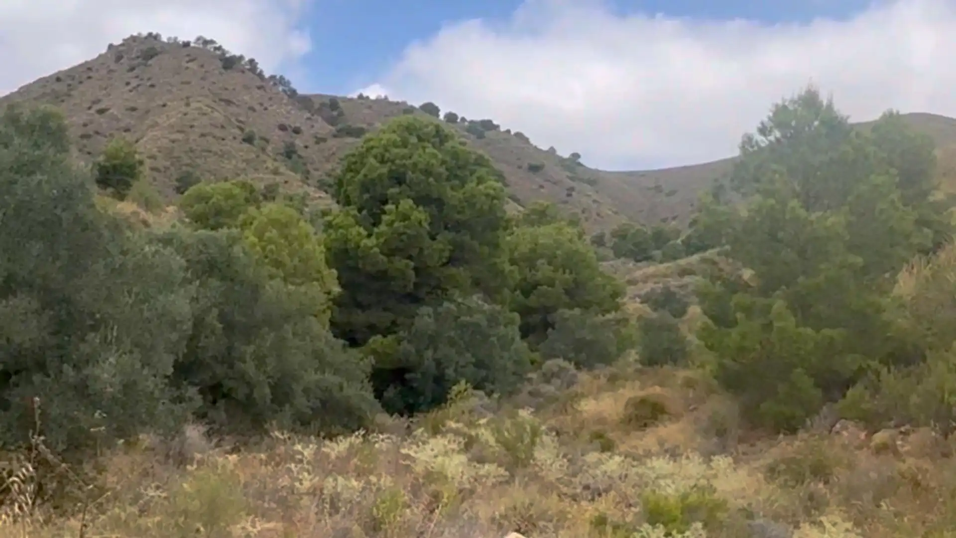 Country homes for sale in Lorca  with Private garden