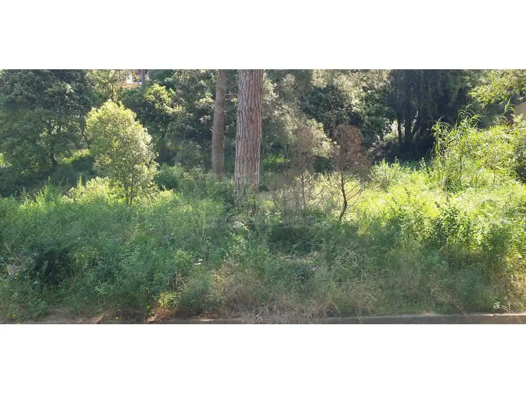 Terrain résidentiel à vendre à Platja de Pals, imagen 6