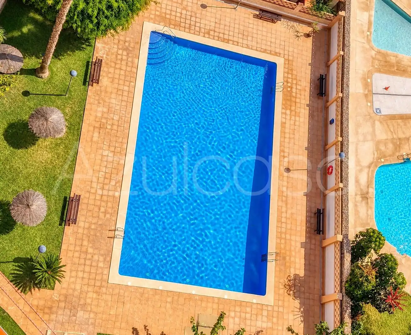 Appartamento con terrazza in affitto a Calle Calle Músico Vicente Spiteri Galiano, imagen 26