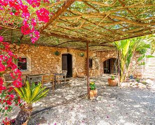 Terrace of Country house to rent in Sineu  with Private garden and Terrace
