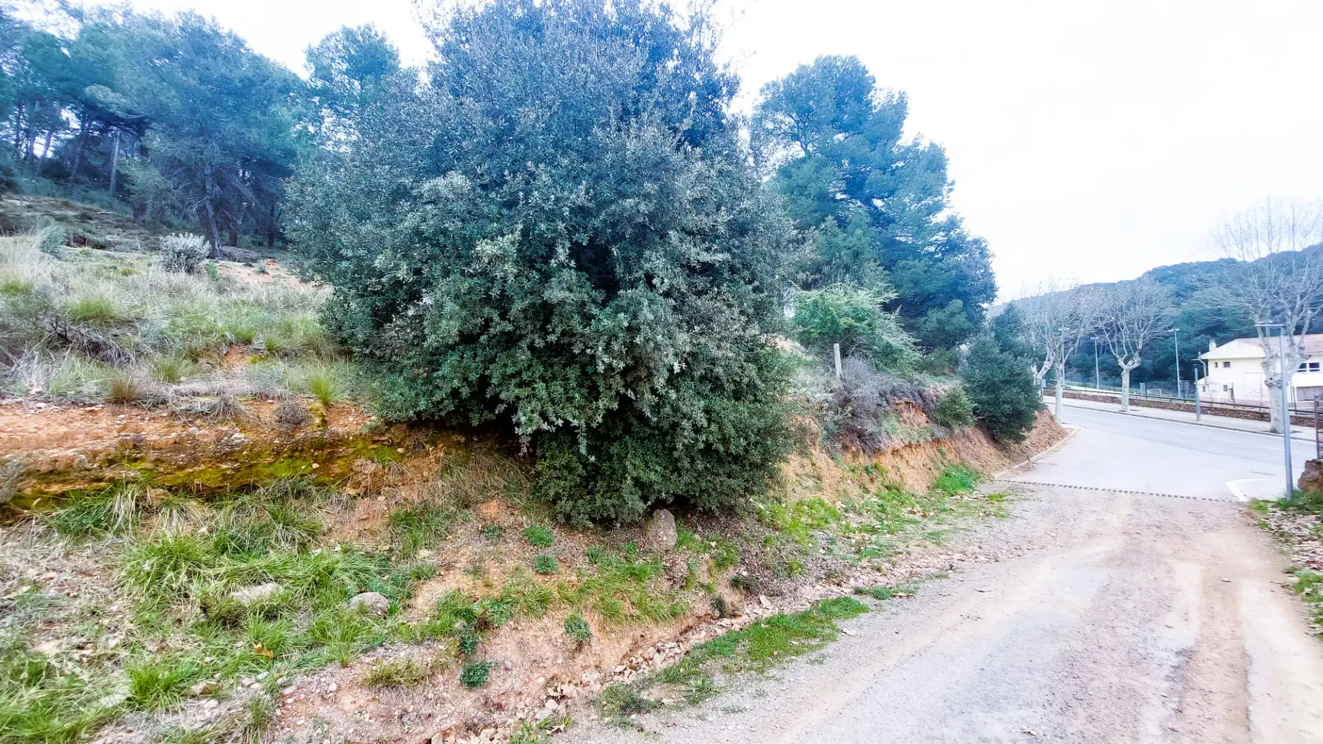 Residential land for sale in Carrer de Gallifa, imagen 8