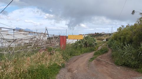 Foto 3 de Residencial en venta en Carretera de Los Barros, 24, Valle de los Nueve - El Ejido - Medianías, Telde