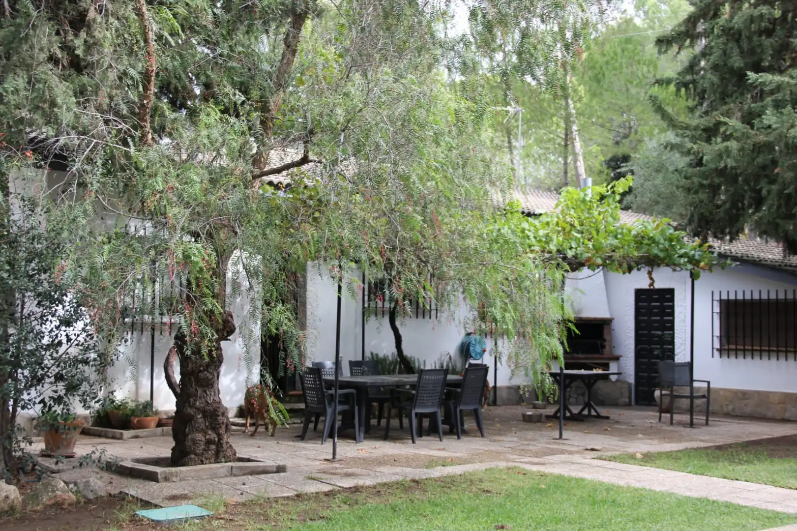 Garden of Houses for sale in Ronda  with Private garden and Swimming Pool