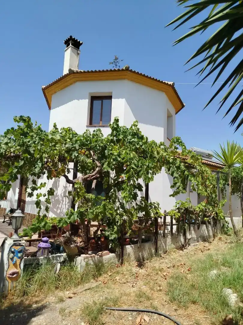 Vista exterior de Casa o chalet en venta en Algodonales con Jardín privado, Piscina y Amueblado