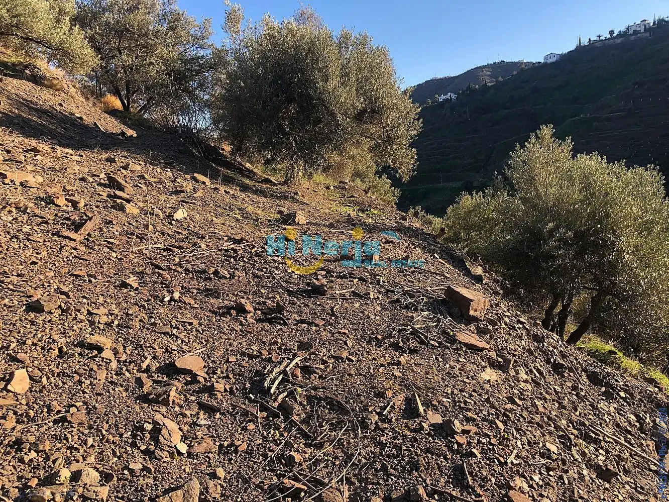 Terreni e lotti in vendita a Torrox Pueblo, imagen 16