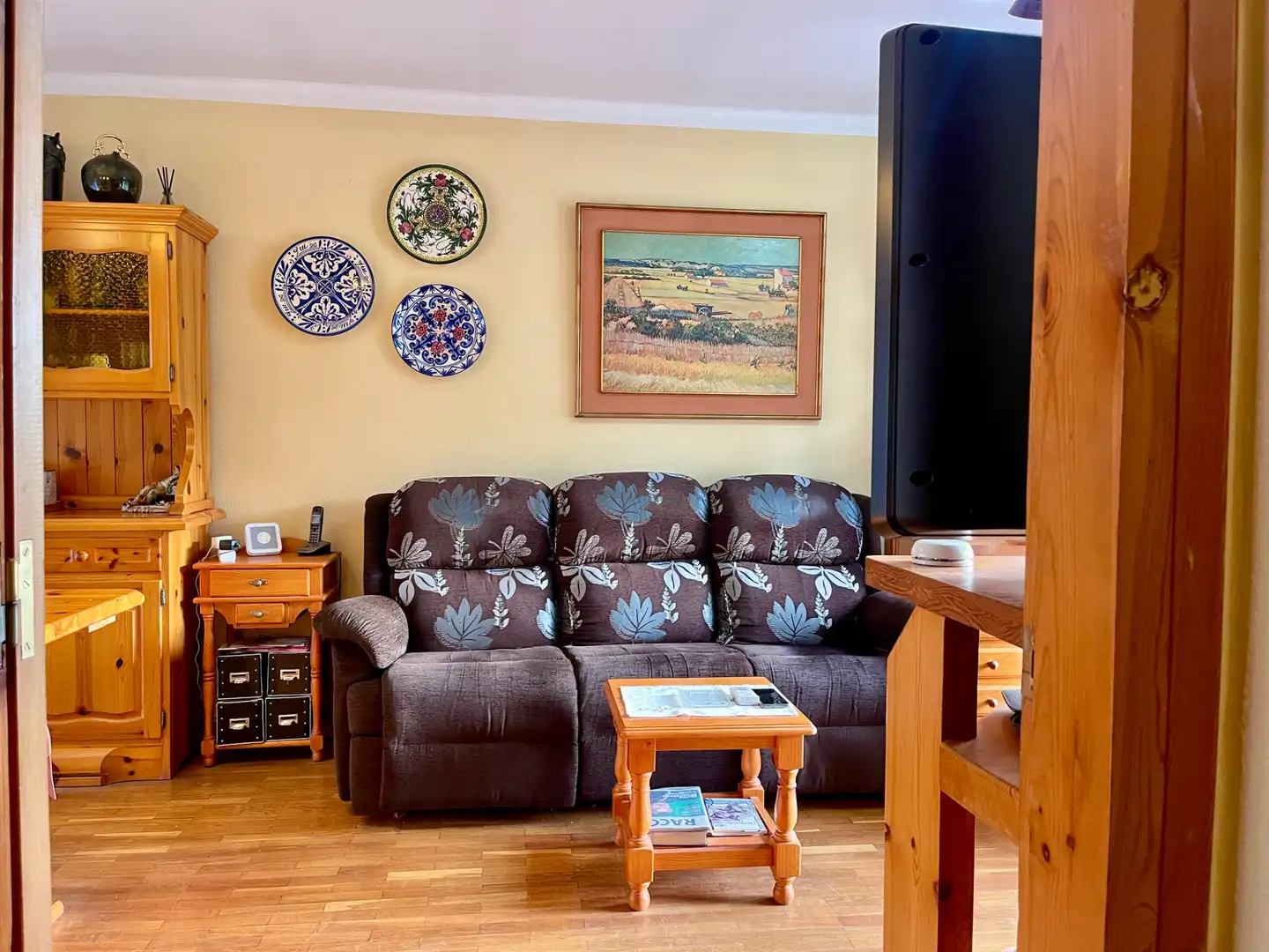 Sala de estar de Casa o chalet en venta en Sant Pau de Segúries con Aire acondicionado, Jardín privado y Terraza