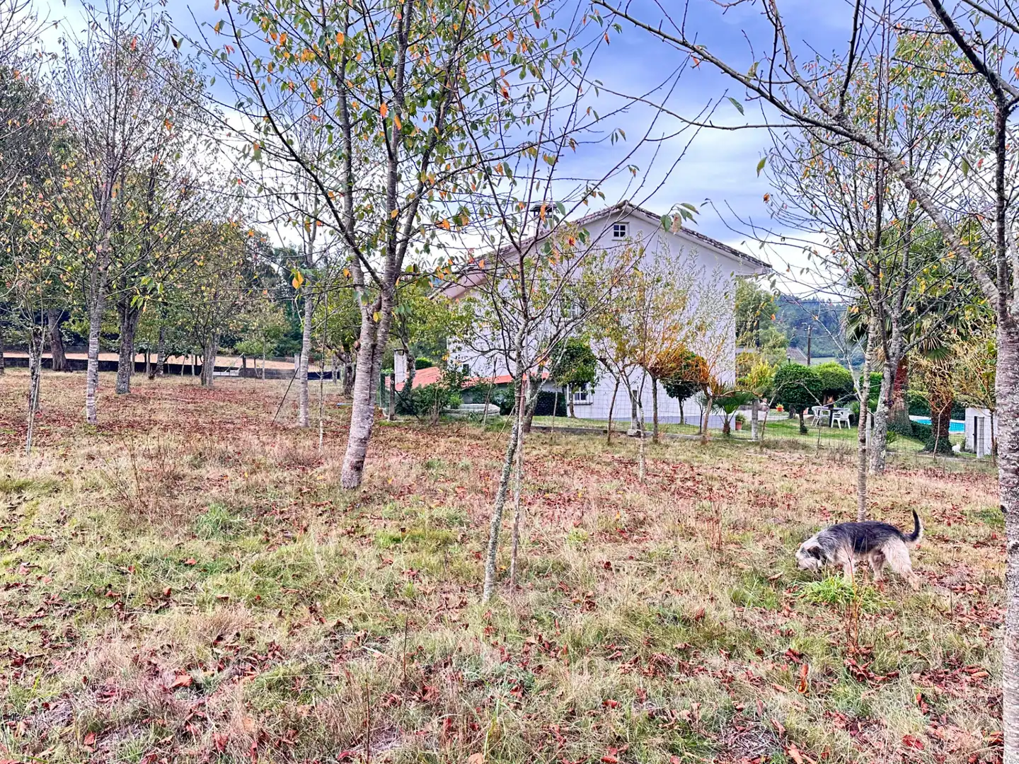 Houses for sale in Boqueixón, A Coruña