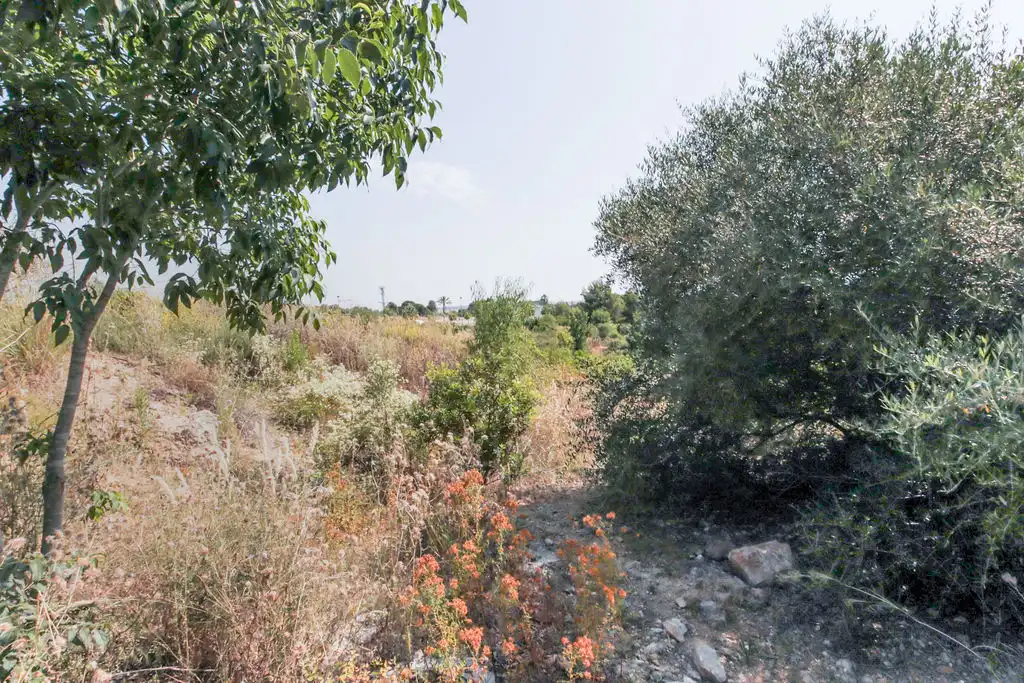 Rural land for sale in C/ Manuel de Pedrolo, imagen 17