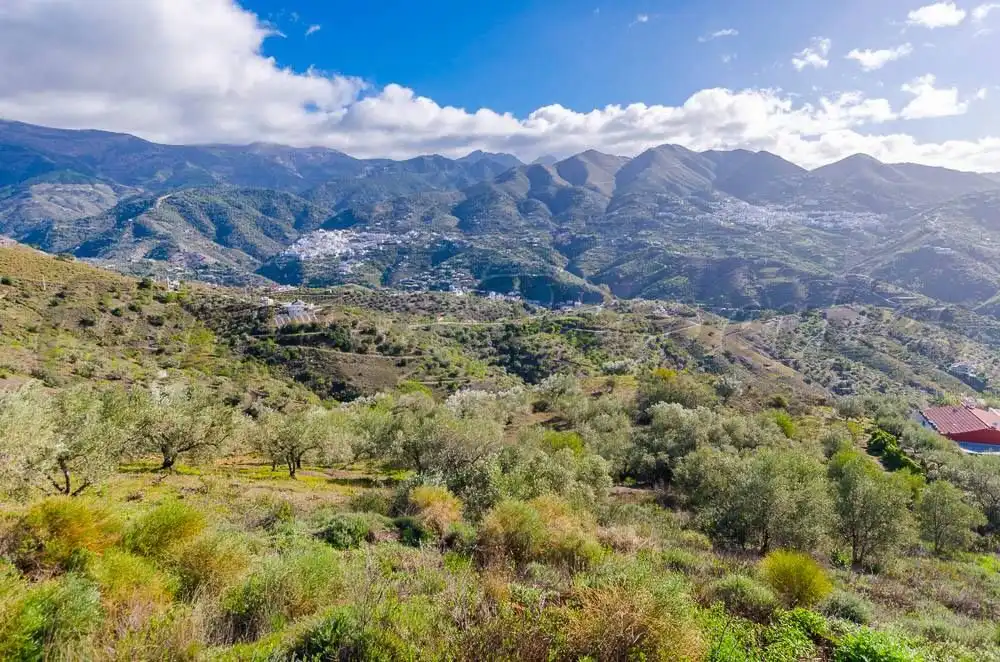 Terreno rustico in vendita a Árchez, imagen 4